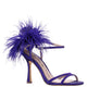 MIDNIGHT PLUM